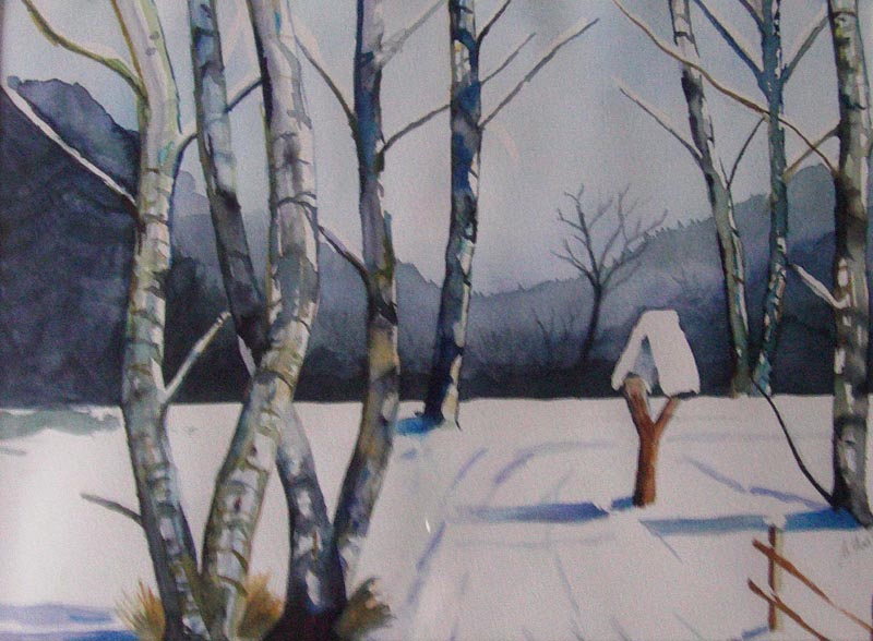 Slikovni rezultat za Mirko Plavsic slike